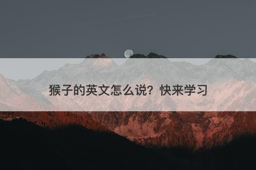 猴子的英文怎么说？快来学习