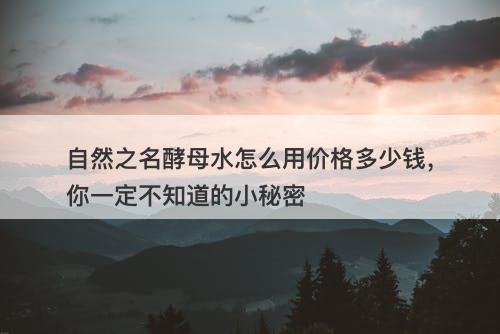 自然之名酵母水怎么用价格多少钱，你一定不知道的小秘密