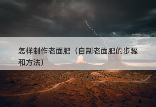 怎样制作老面肥（自制老面肥的步骤和方法）