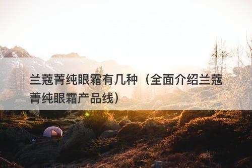 兰蔻菁纯眼霜有几种（全面介绍兰蔻菁纯眼霜产品线）