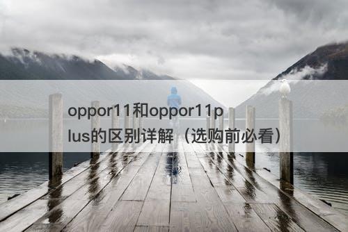 oppor11和oppor11plus的区别详解（选购前必看）