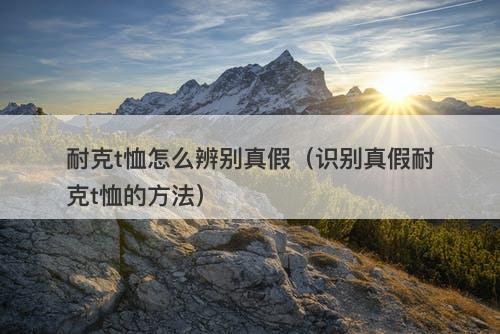 耐克t恤怎么辨别真假（识别真假耐克t恤的方法）