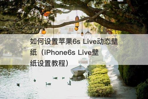 如何设置苹果6s Live动态壁纸（iPhone6s Live壁纸设置教程）