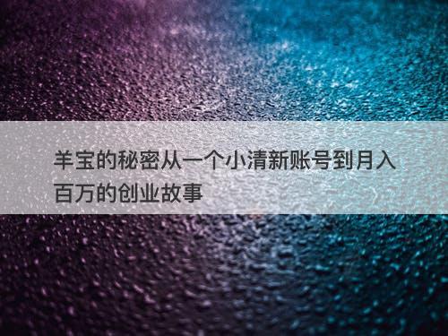 羊宝的秘密从一个小清新账号到月入百万的创业故事