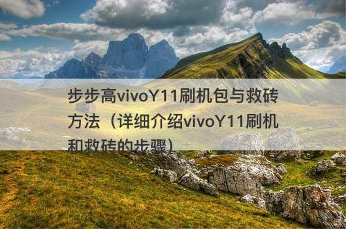 步步高vivoY11刷机包与救砖方法（详细介绍vivoY11刷机和救砖的步骤）
