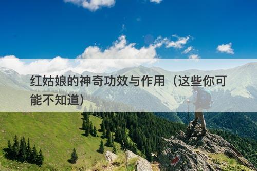 红姑娘的神奇功效与作用（这些你可能不知道）