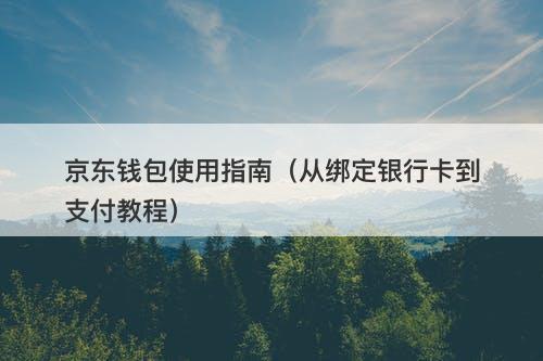 京东钱包使用指南（从绑定银行卡到支付教程）