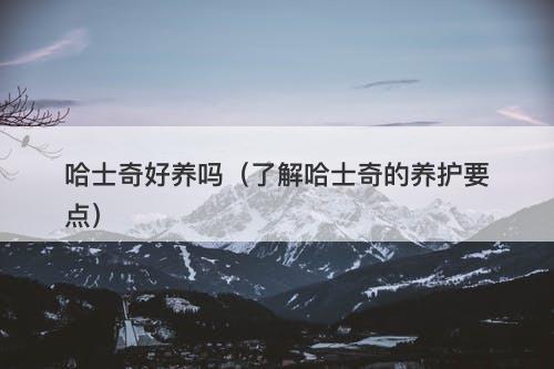 哈士奇好养吗（了解哈士奇的养护要点）