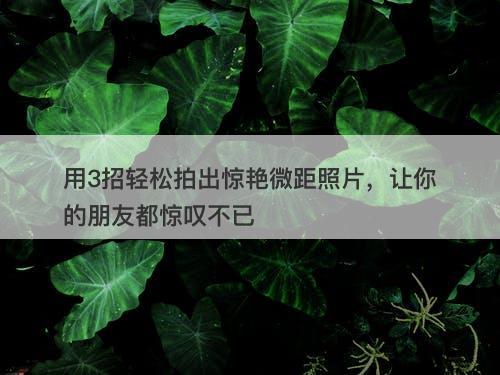 用3招轻松拍出惊艳微距照片，让你的朋友都惊叹不已