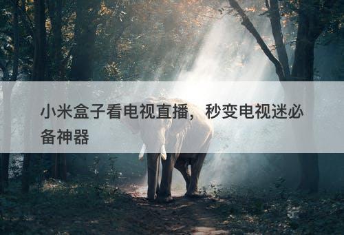 小米盒子看电视直播，秒变电视迷必备神器
