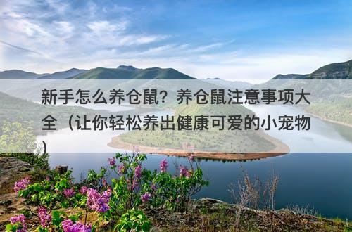 新手怎么养仓鼠？养仓鼠注意事项大全（让你轻松养出健康可爱的小宠物）
