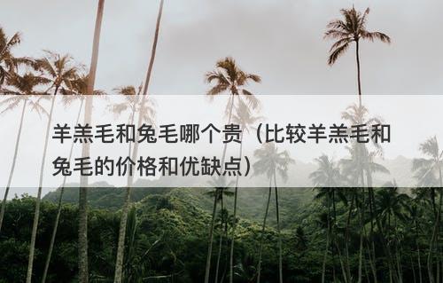 羊羔毛和兔毛哪个贵（比较羊羔毛和兔毛的价格和优缺点）