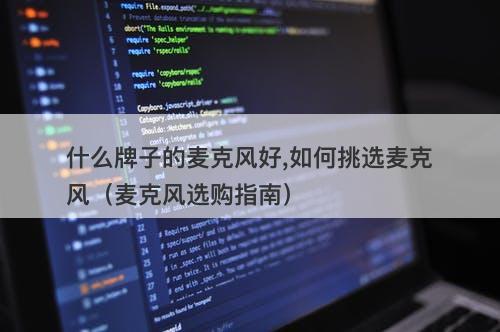 什么牌子的麦克风好,如何挑选麦克风（麦克风选购指南）