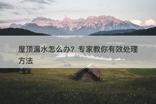 屋顶漏水怎么办？专家教你有效处理方法