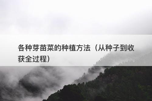 各种芽苗菜的种植方法（从种子到收获全过程）