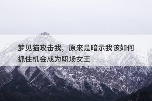 梦见猫攻击我,原来是暗示我该如何抓住机会成为职场女王-图1 梦见猫攻击我,原来是暗示我该如何抓住机会成为职场女王-图1