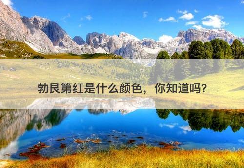 勃艮第红是什么颜色，你知道吗？