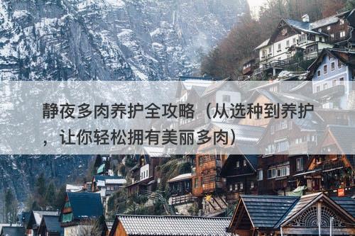 静夜多肉养护全攻略（从选种到养护，让你轻松拥有美丽多肉）