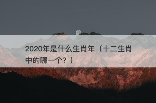 2020年是什么生肖年（十二生肖中的哪一个？）