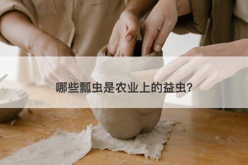 哪些瓢虫是农业上的益虫？