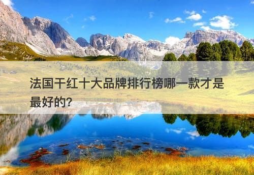 法国干红十大品牌排行榜哪一款才是最好的？