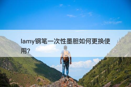 lamy钢笔一次性墨胆如何更换使用？