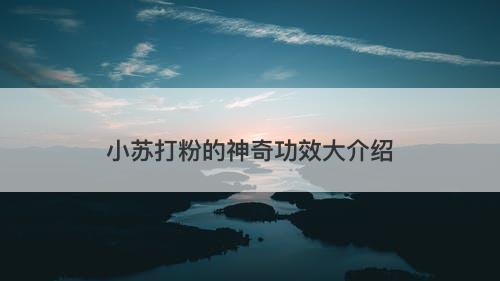 小苏打粉的神奇功效大介绍