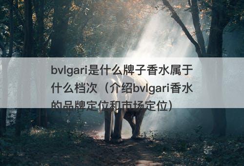 bvlgari是什么牌子香水属于什么档次（介绍bvlgari香水的品牌定位和市场定位）