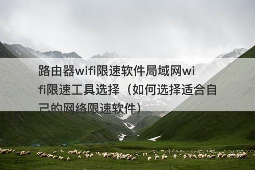 路由器wifi限速软件局域网wifi限速工具选择（如何选择适合自己的网络限速软件）