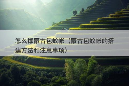 怎么撑蒙古包蚊帐（蒙古包蚊帐的搭建方法和注意事项）