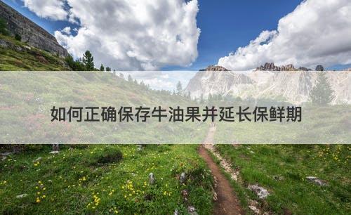 如何正确保存牛油果并延长保鲜期