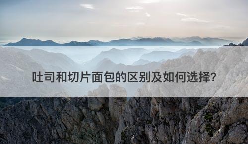 吐司和切片面包的区别及如何选择？-图1