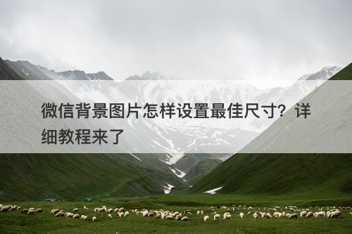 微信背景图片怎样设置最佳尺寸？详细教程来了-图1