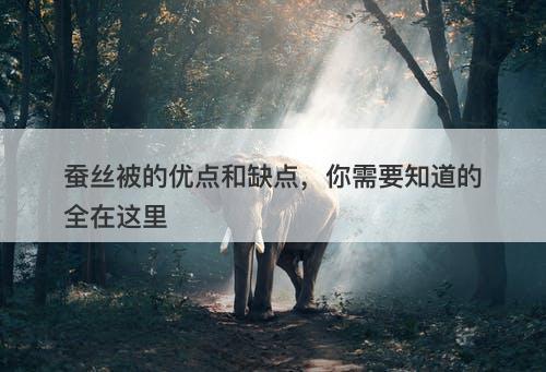 蚕丝被的优点和缺点，你需要知道的全在这里
