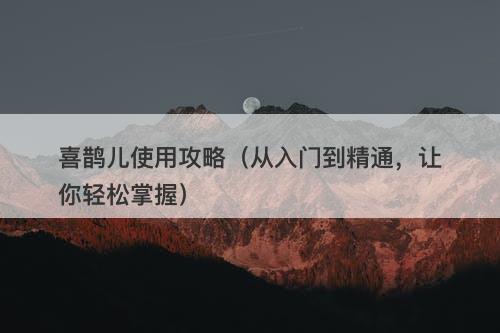 喜鹊儿使用攻略（从入门到精通，让你轻松掌握）