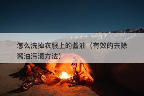 怎么洗掉衣服上的酱油（有效的去除酱油污渍方法）