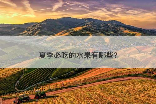 夏季必吃的水果有哪些？