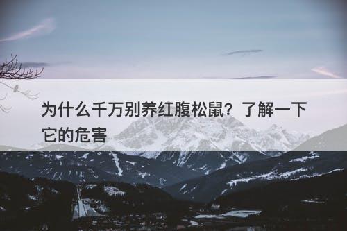为什么千万别养红腹松鼠？了解一下它的危害-图1