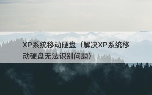 XP系统移动硬盘（解决XP系统移动硬盘无法识别问题）