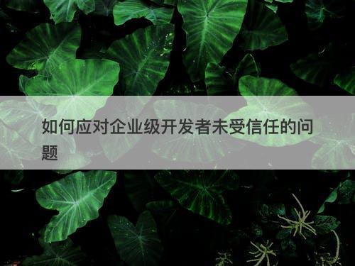 如何应对企业级开发者未受信任的问题