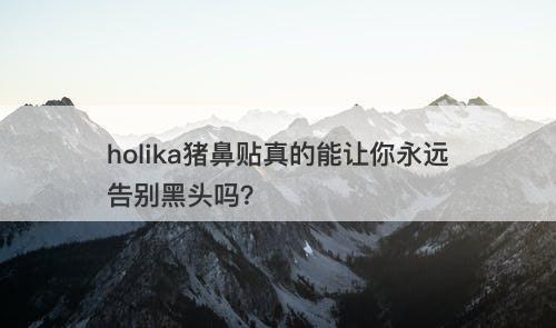 holika猪鼻贴真的能让你永远告别黑头吗？