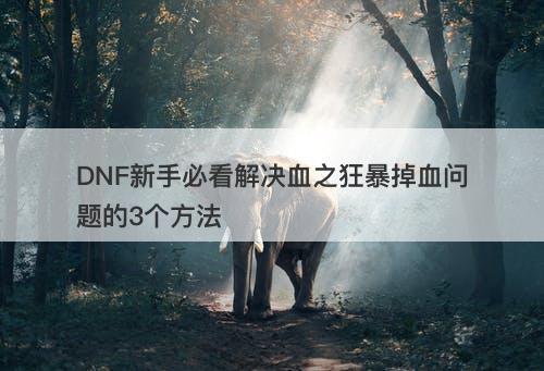 DNF新手必看解决血之狂暴掉血问题的3个方法