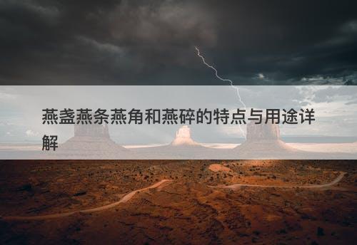 燕盏燕条燕角和燕碎的特点与用途详解