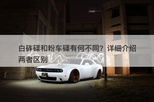 白砗磲和粉车磲有何不同？详细介绍两者区别