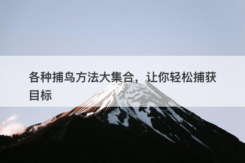 各种捕鸟方法大集合，让你轻松捕获目标