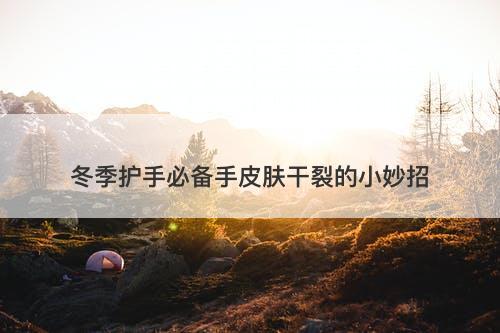 冬季护手必备手皮肤干裂的小妙招