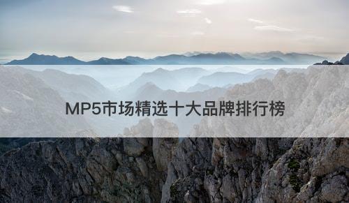MP5市场精选十大品牌排行榜