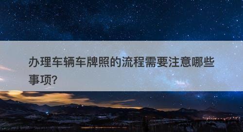 办理车辆车牌照的流程需要注意哪些事项？