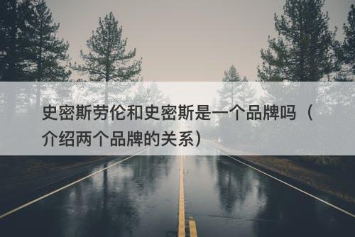 史密斯劳伦和史密斯是一个品牌吗（介绍两个品牌的关系）