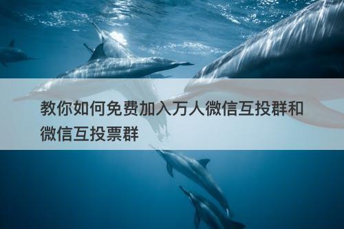 教你如何免费加入万人微信互投群和微信互投票群